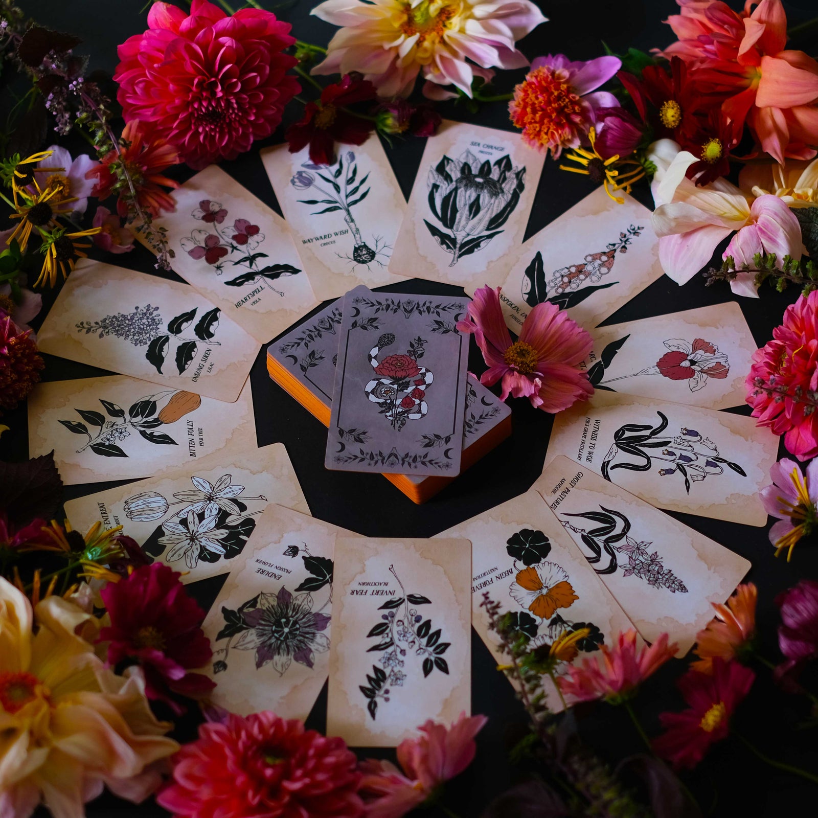 The Botanical Tarot Deck, Pythia Botanica illustrated by hand, rooted in mythology and infused with plant magic.