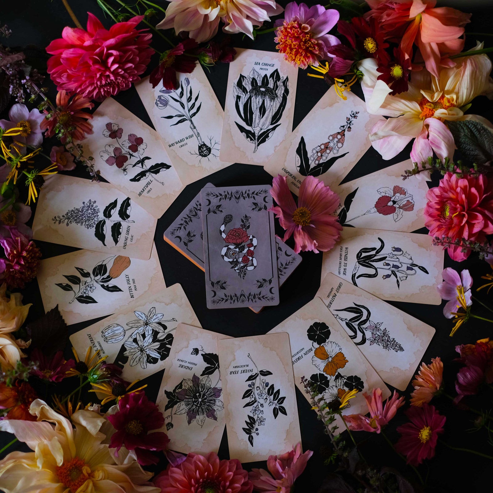 The Botanical Oracle Deck, Pythia Botanica illustrated by hand, rooted in mythology and infused with plant magic.