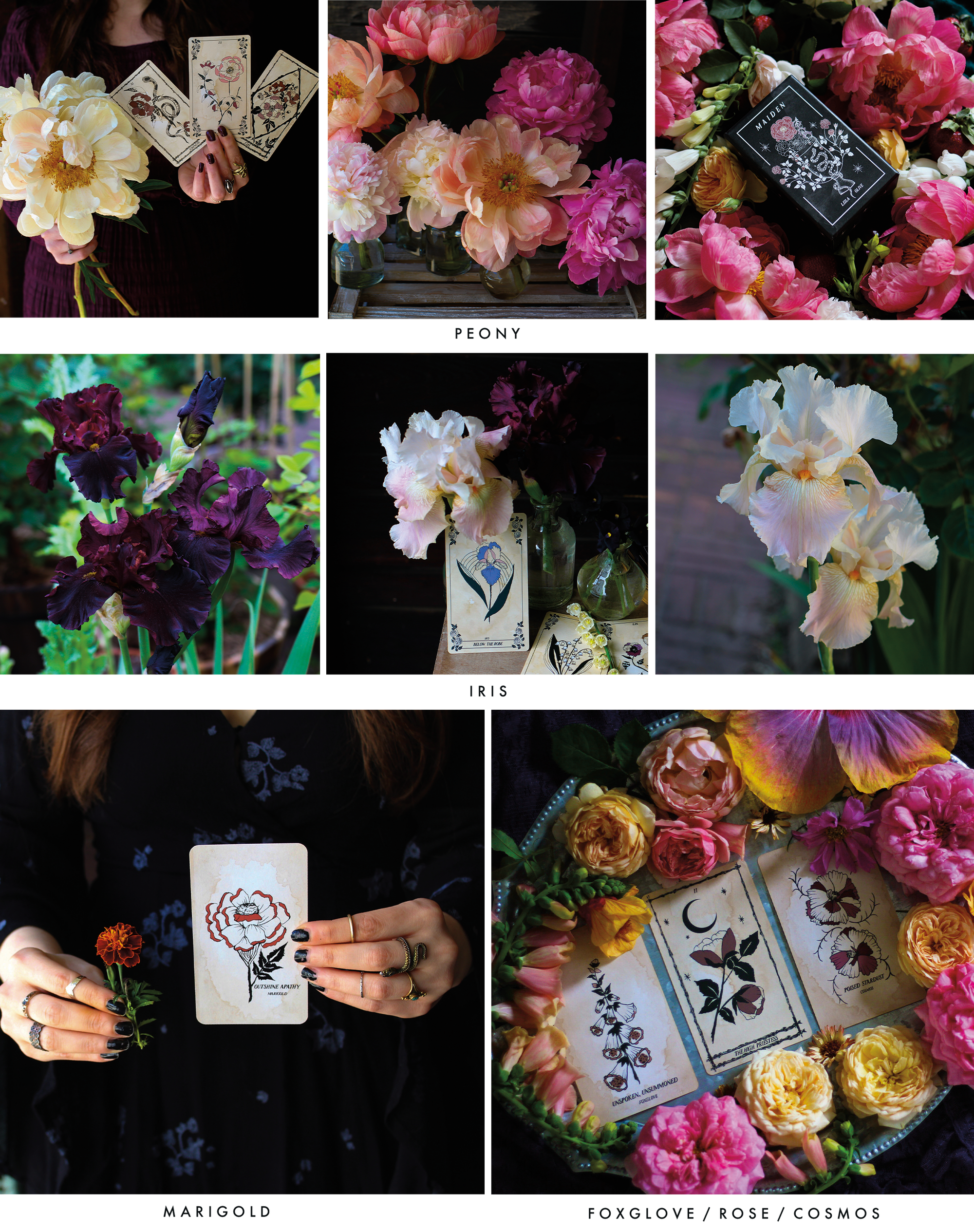 Floral Tarot card decks, hand-painted and rooted in classical Tarot interpretations, meant to flourish amid the garden and provide the wisdom of plants..