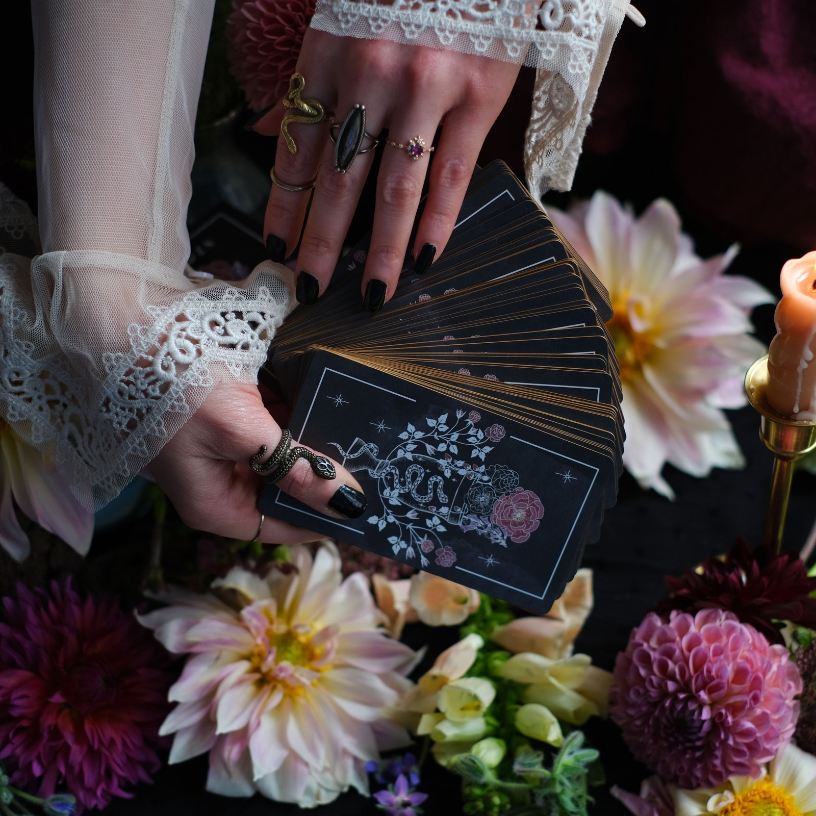 The Maiden Botanical Oracle is wedded to independence and weeded of despondence. Through 68 cards and bound guidebook, earthborn botanical oracles and the Tarot's Major Arcana we delve into the plants in our garden.
