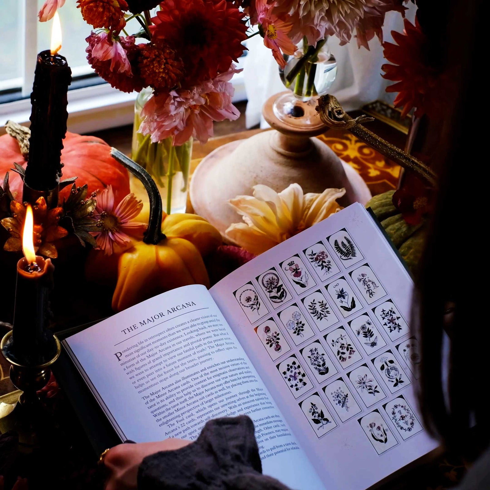 The Botanica Tarot Book