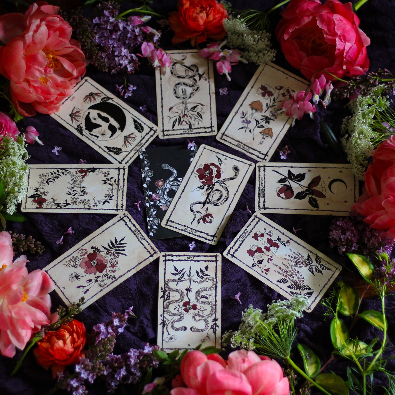 The Botanical Tarot deck, the Ophidia Rosa, is illustrated by hand and rooted in the natural realm. Through these 78 botanical tarot cards, the major and minor arcana, we weave together traditional Tarot meanings with poetry, mythology, flora and plants.
