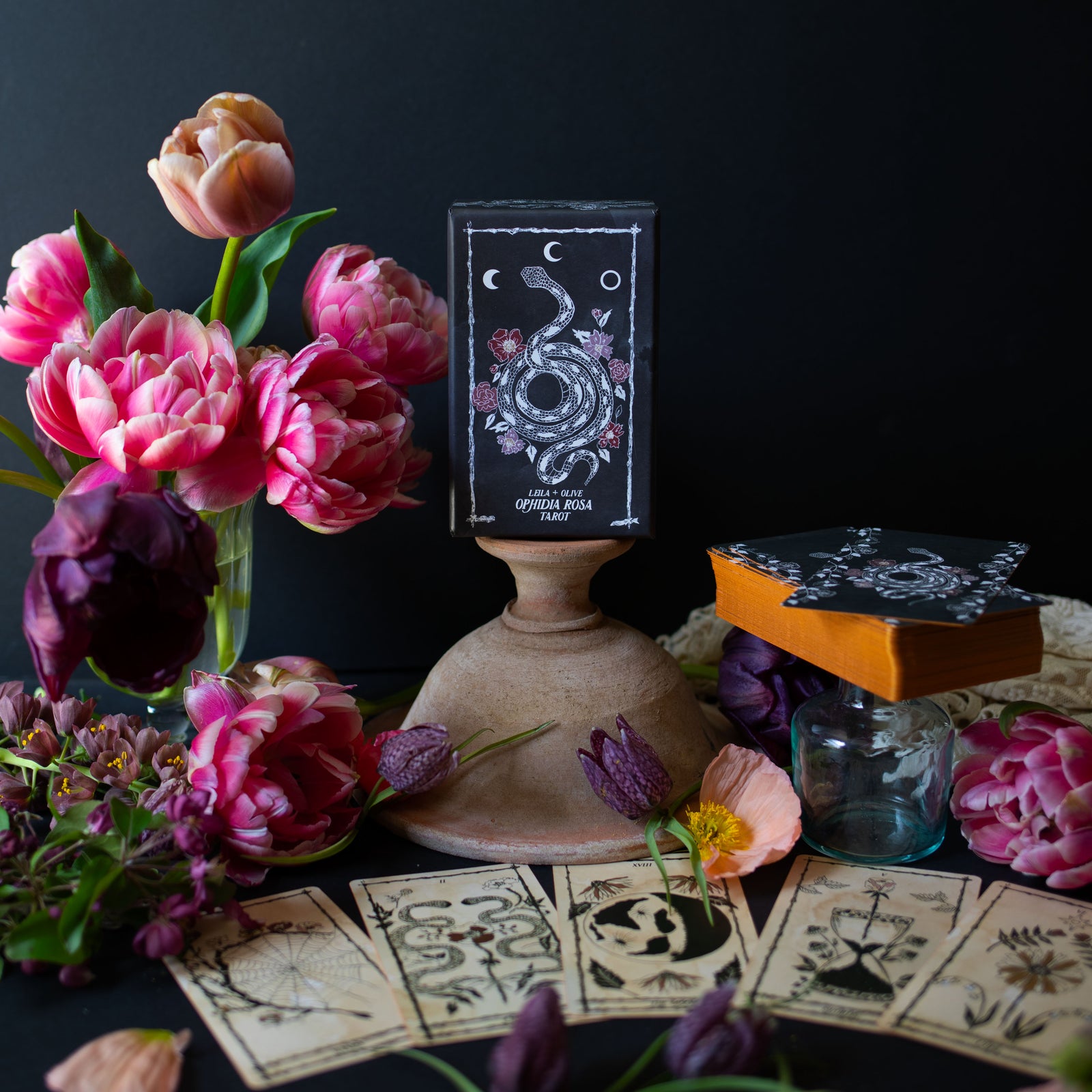 The Botanical Tarot Deck Ophidia Rosa