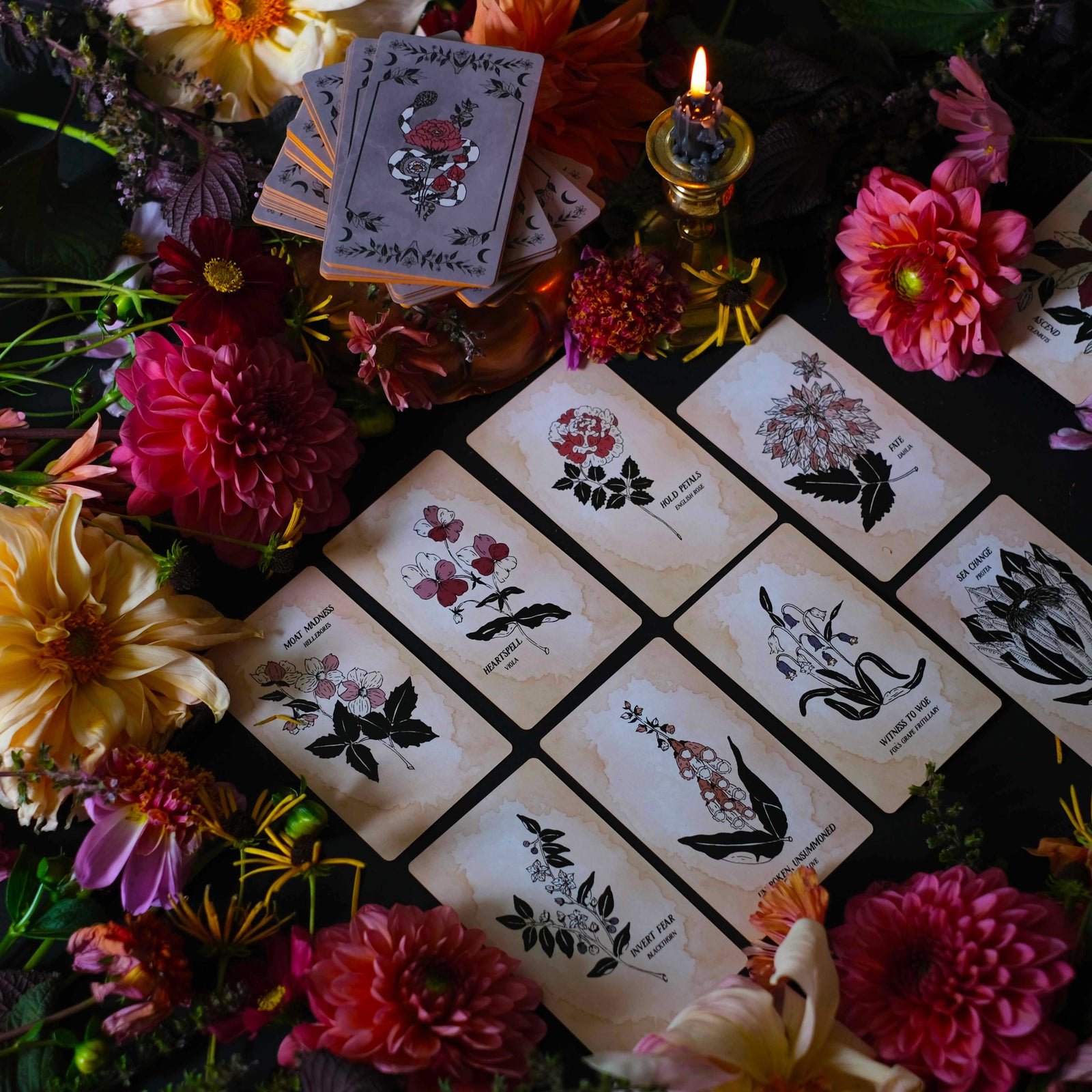 The plant magic oracle deck, Pythia Botanica illustrated by hand, rooted in mythology and infused with botanicals.