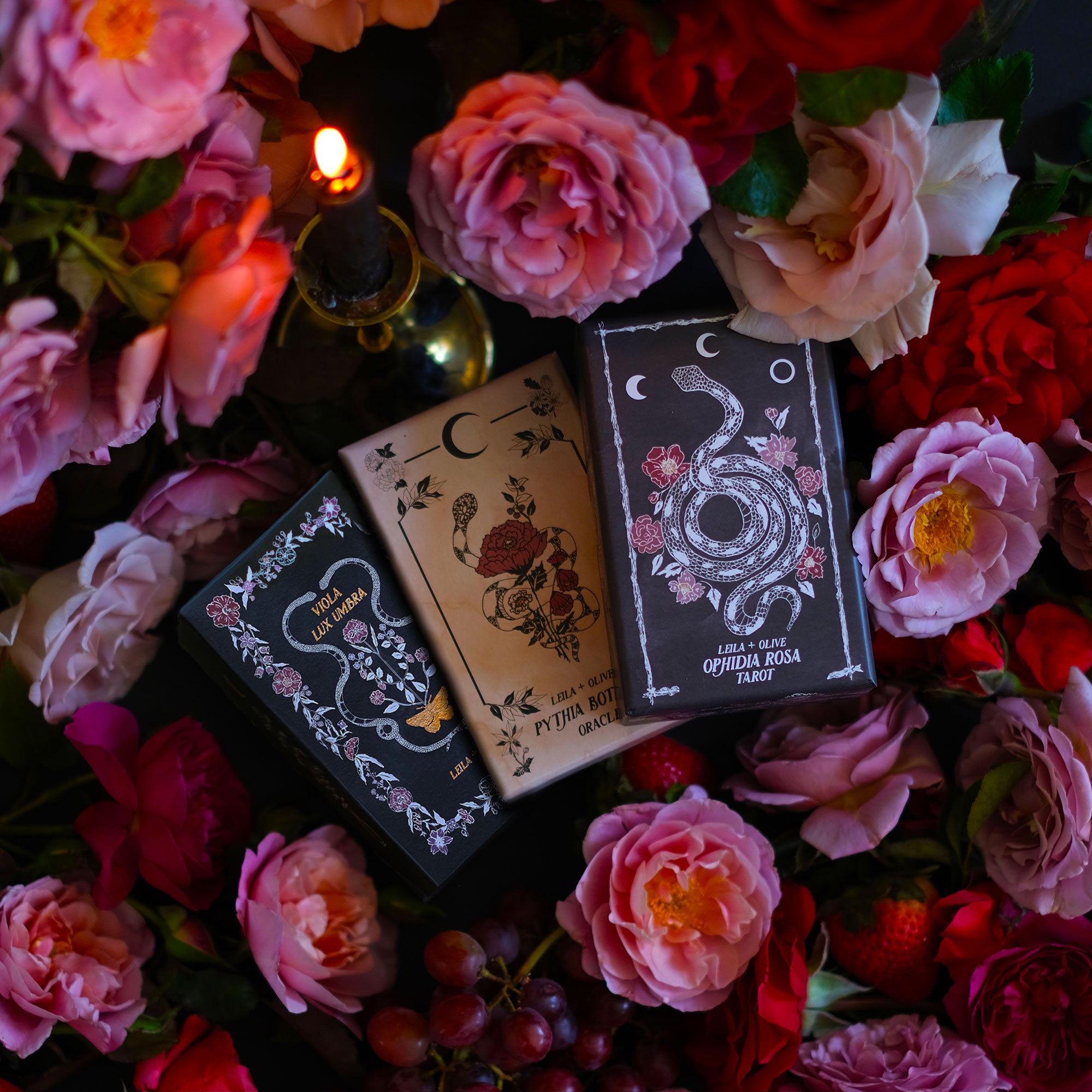 Botanical Tarot deck and Botanical Oracle card deck, illustrated and painted by hand. Each of these botanical and flora inspired, intuitive tarot decks delves into the garden and the natural world while remaining rooted in mythology and tradition.