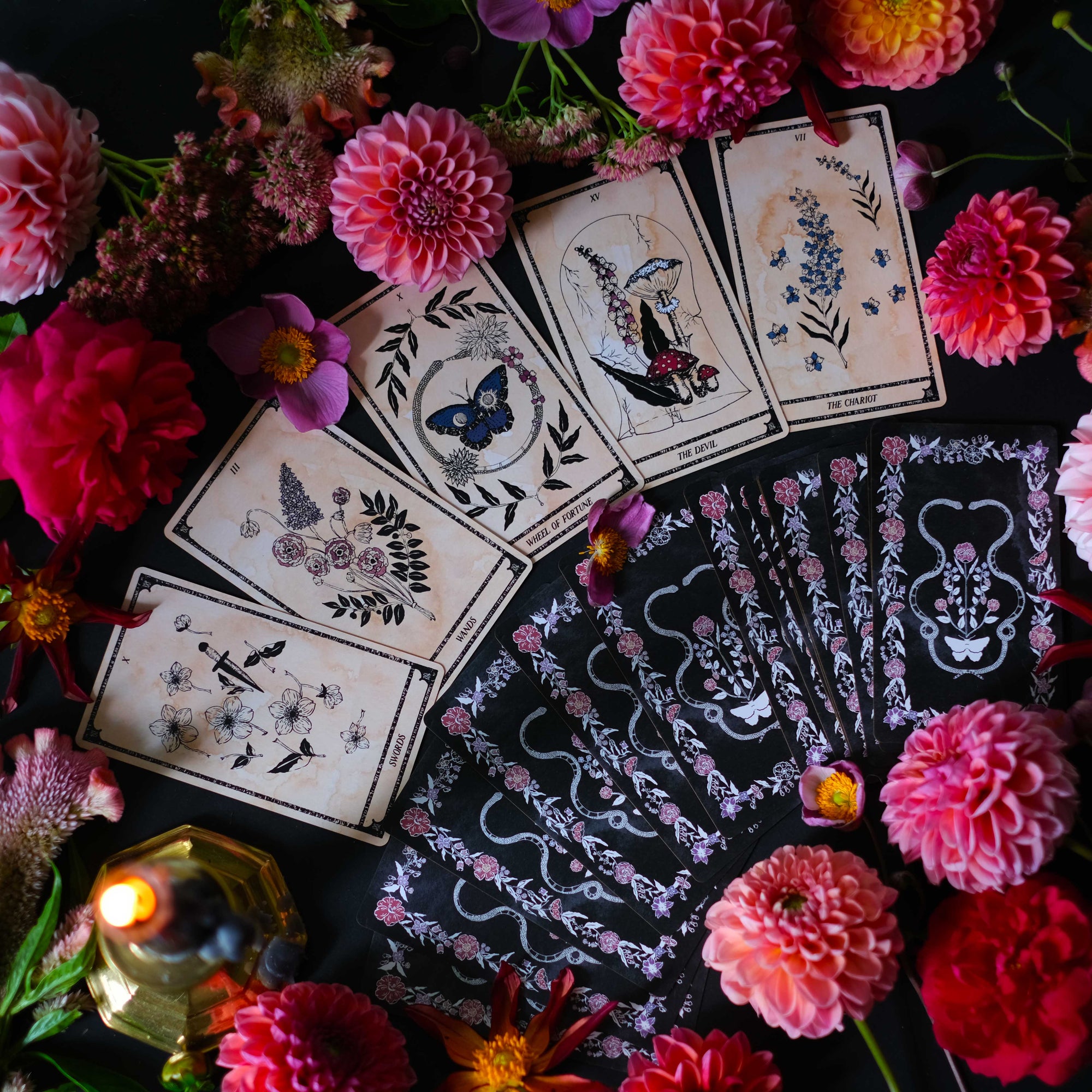 Botanical Tarot deck, Viola Lux Umbra, is illustrated by hand. Each of these botanical and plant inspired, intuitive tarot deck cards delves into the garden and the natural world while remaining rooted in mythology and tradition.