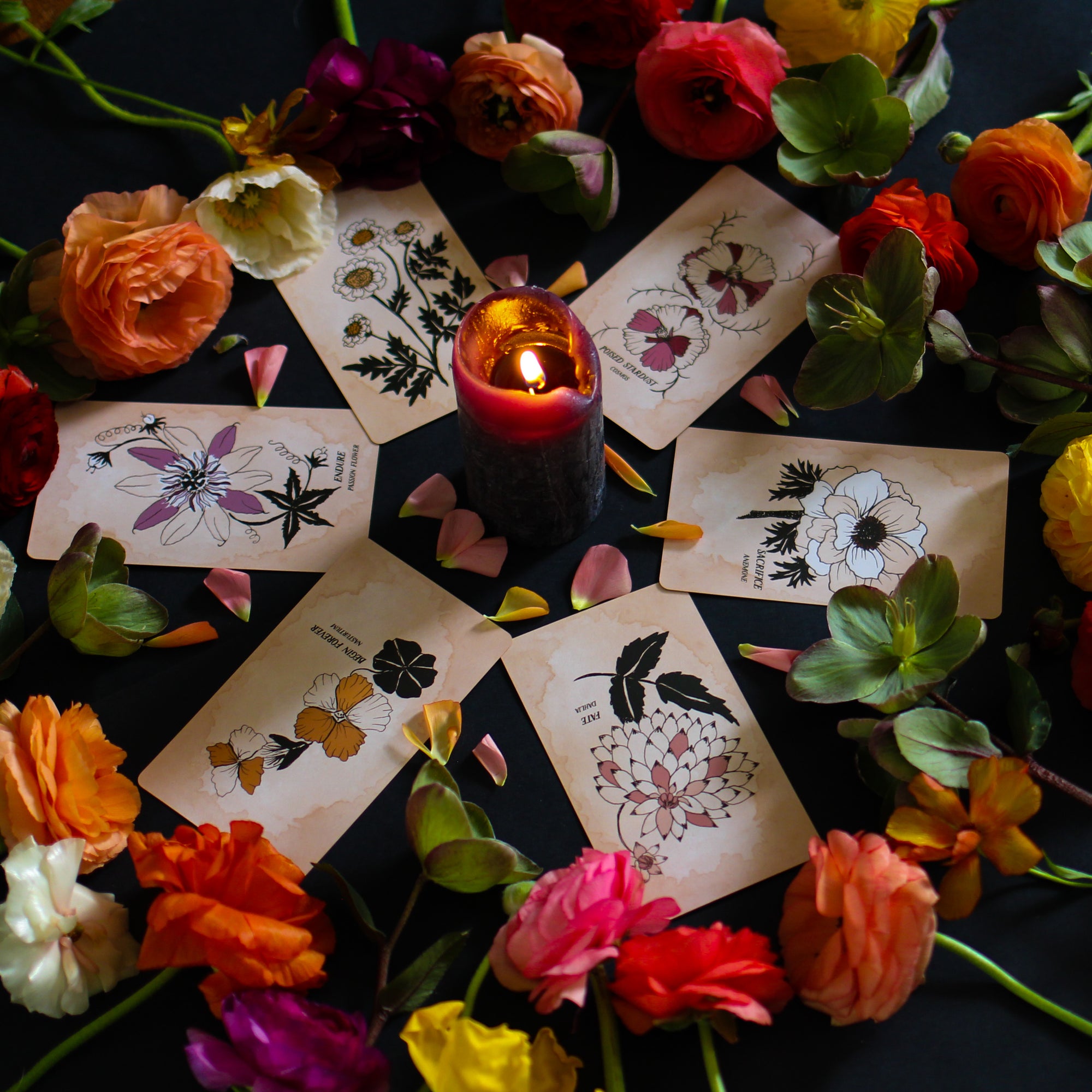 Rooted in mythology, infused with plant magic, Pythia Botanica Oracle is a botanical tarot deck.