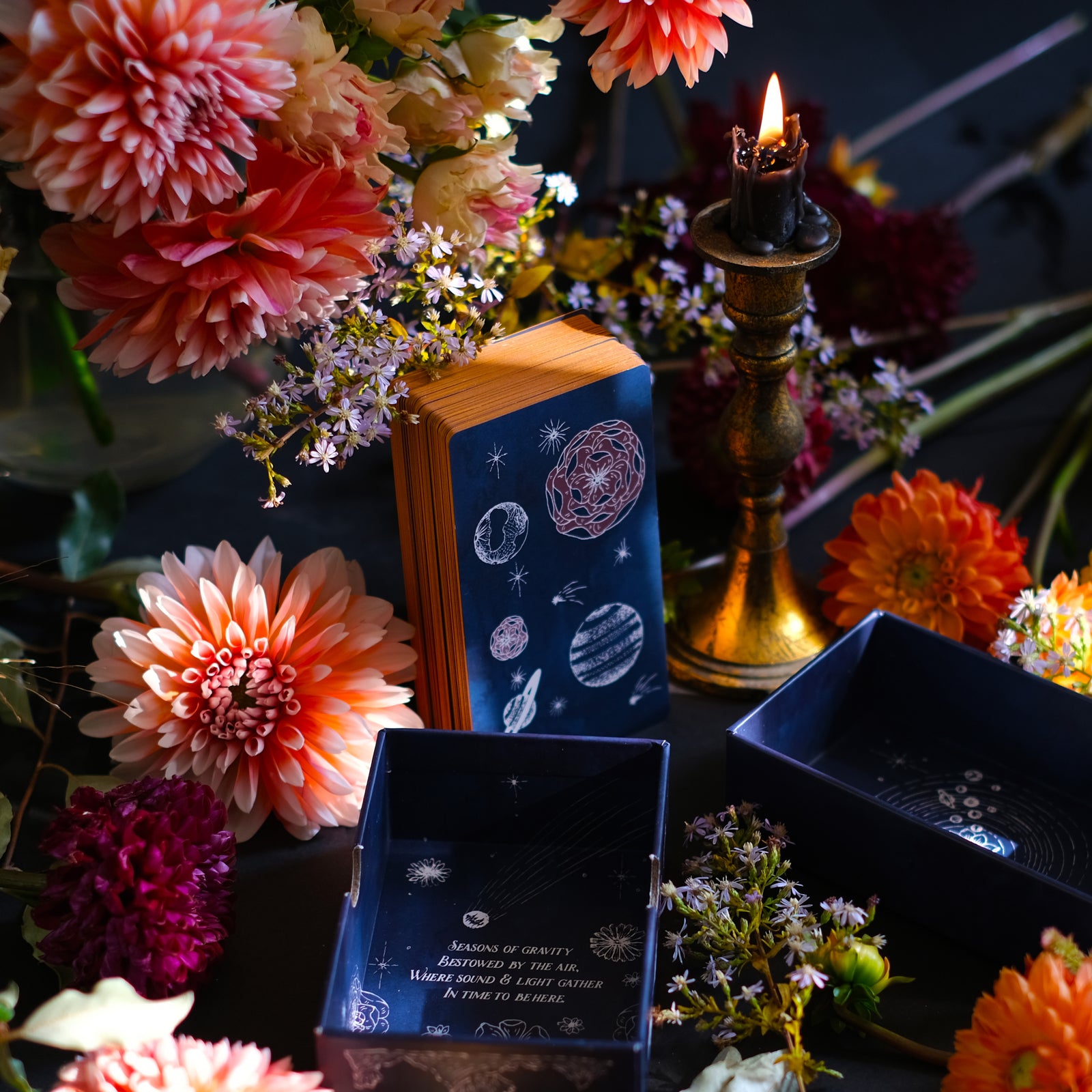 Ad Orbita is a botanical space Tarot deck based on the plants and the planets.