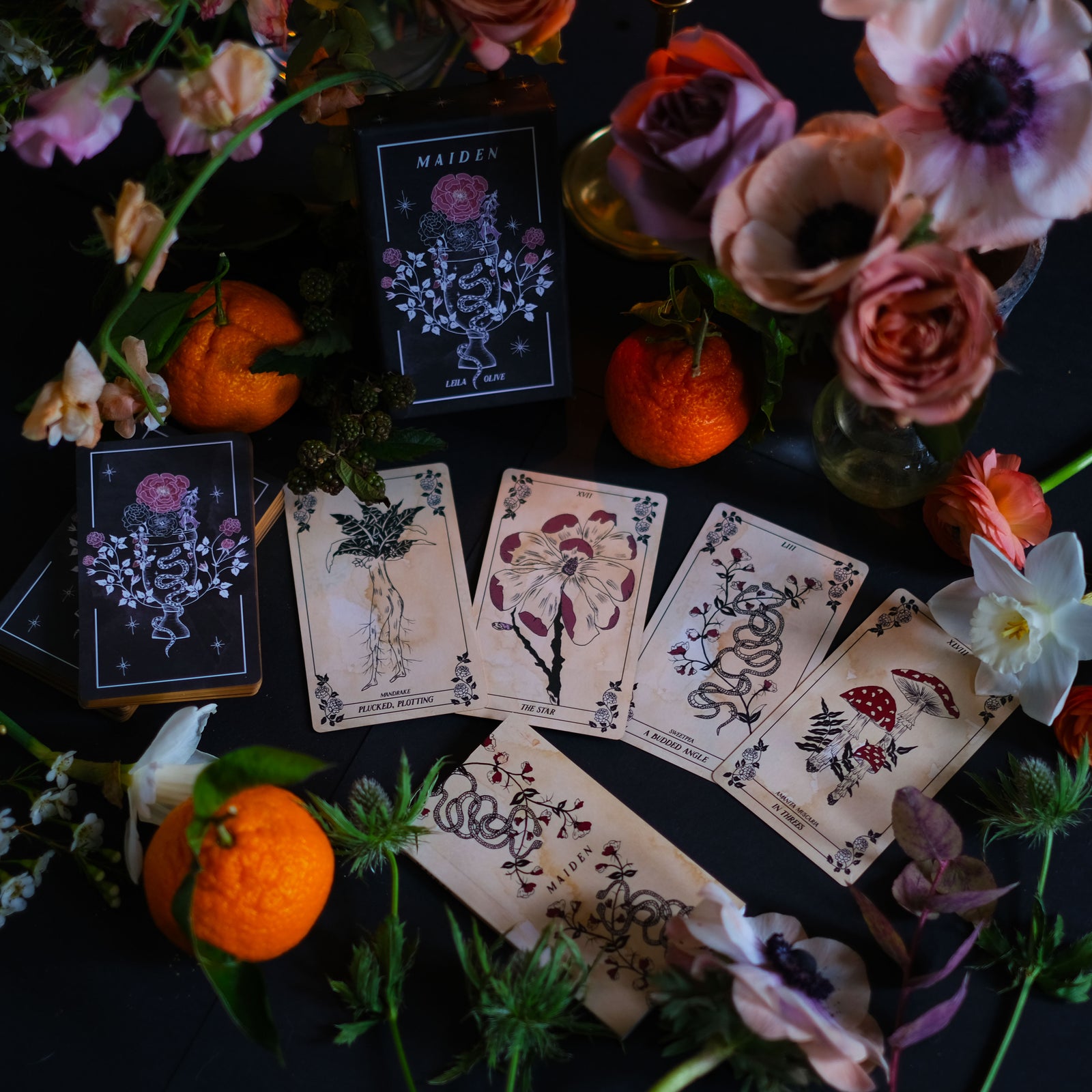 The Maiden Oracle is a botanical tarot deck for green witches.