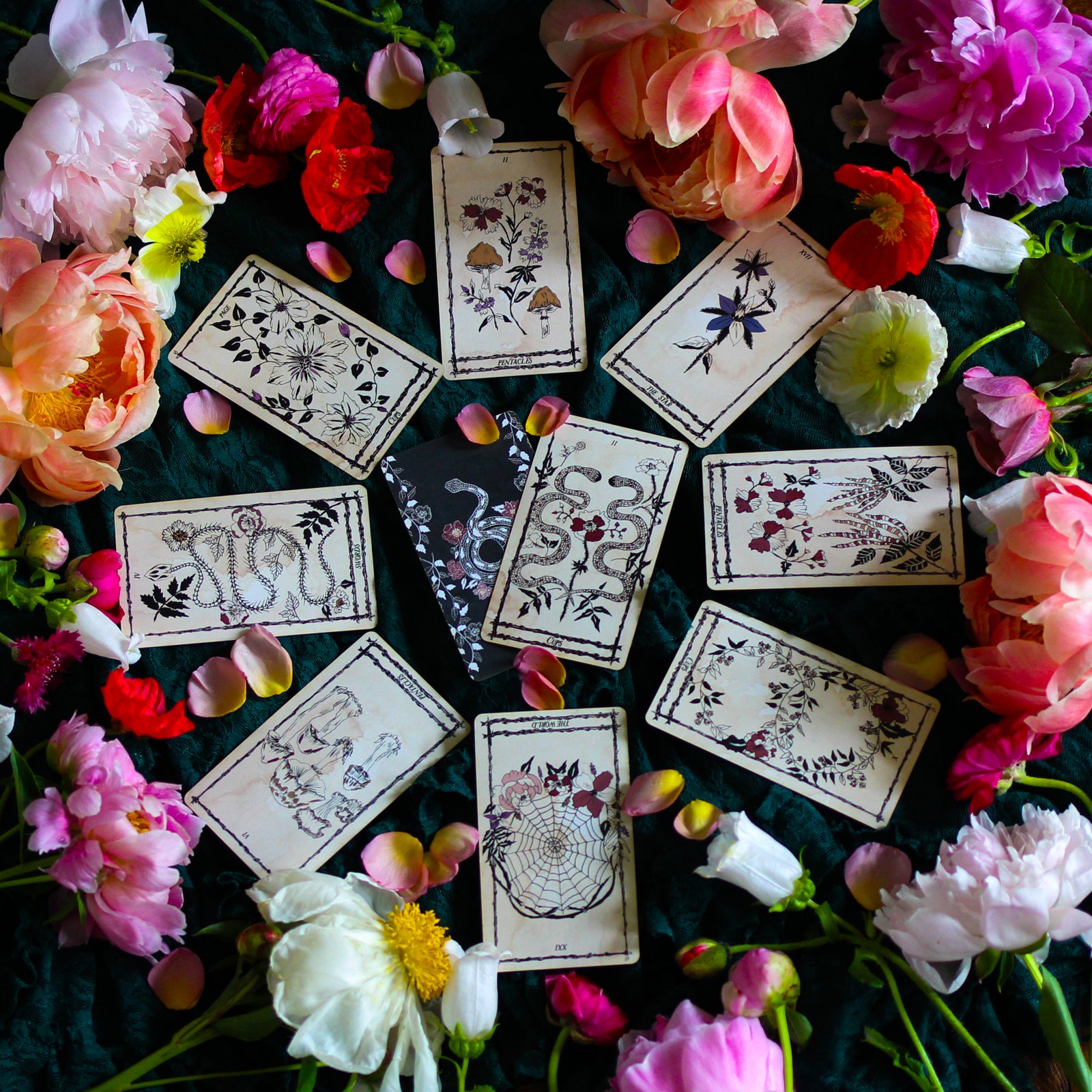 Ophidia Rosa Botanical Tarot Deck