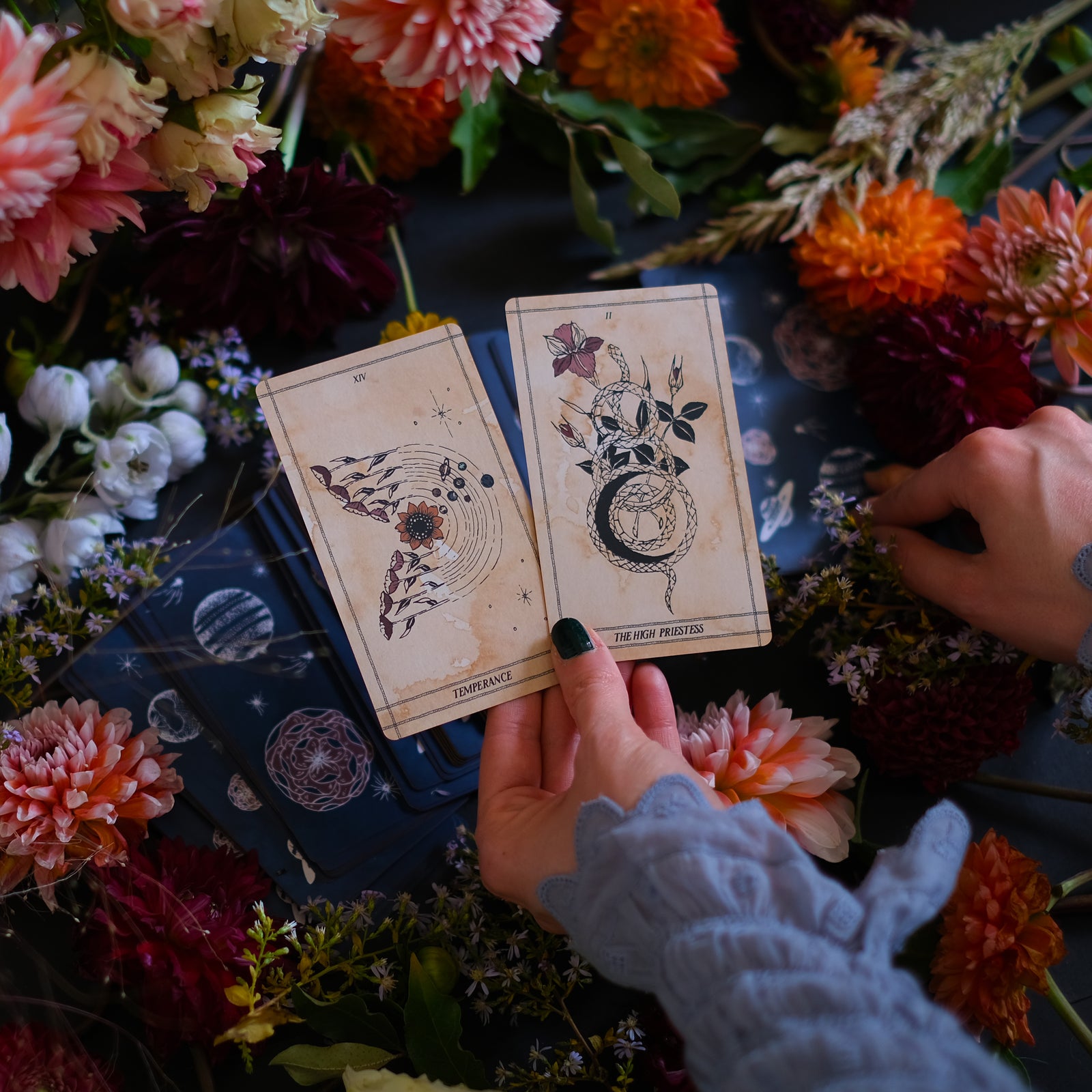 Outer space, botanical tarot card deck, Ad Orbita, combines astrology and the plant kingdom.