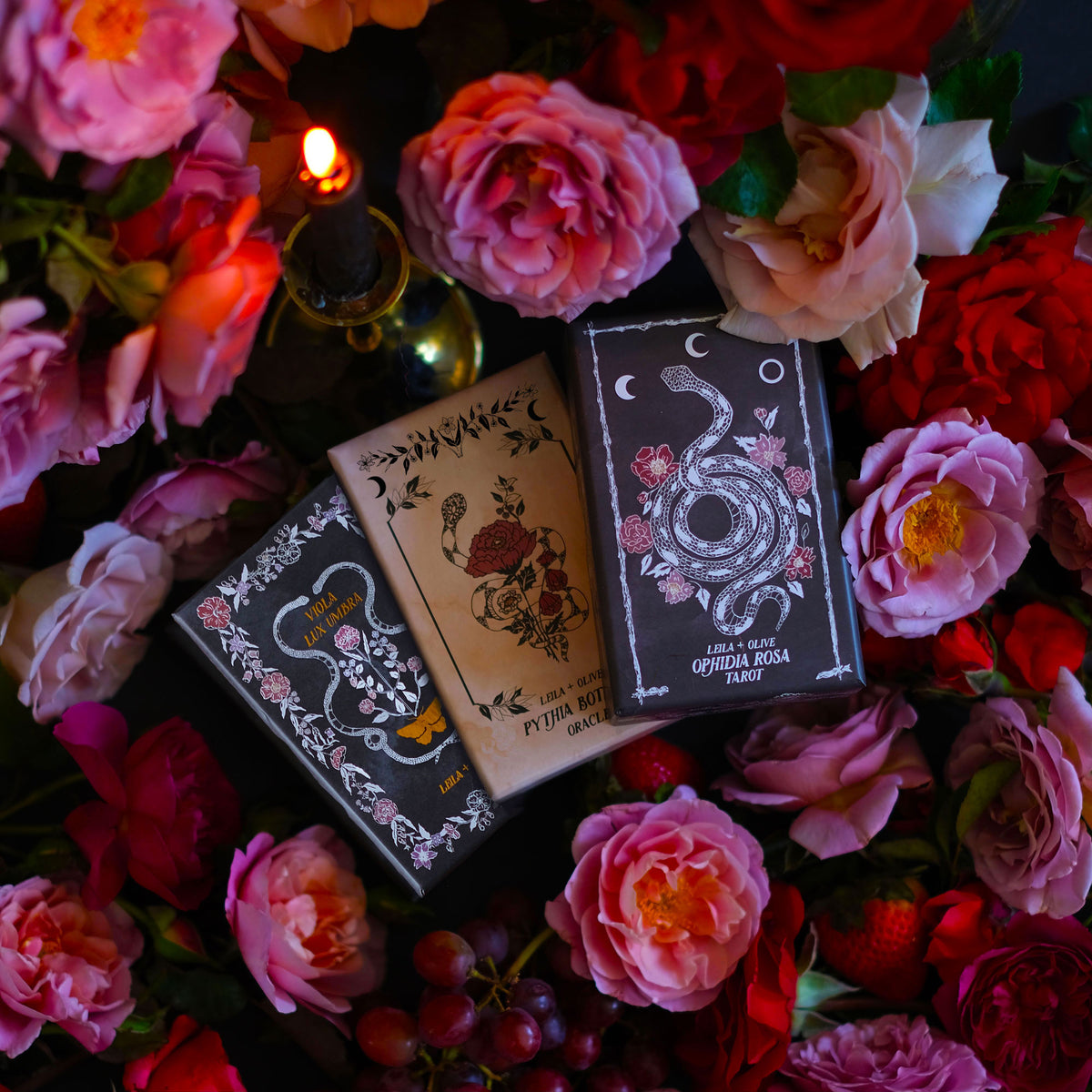 The Botanical Tarot Deck 