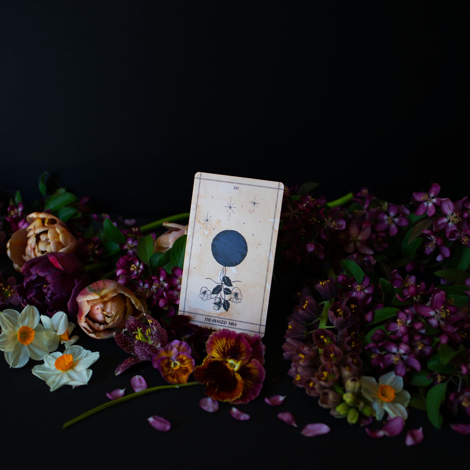 The Ad Orbita Tarot 