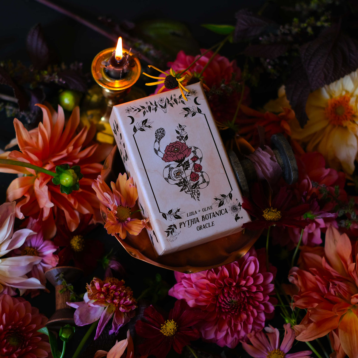 The Botanical Tarot Deck, Pythia Botanica illustrated by hand, rooted in mythology and infused with plant magic. 