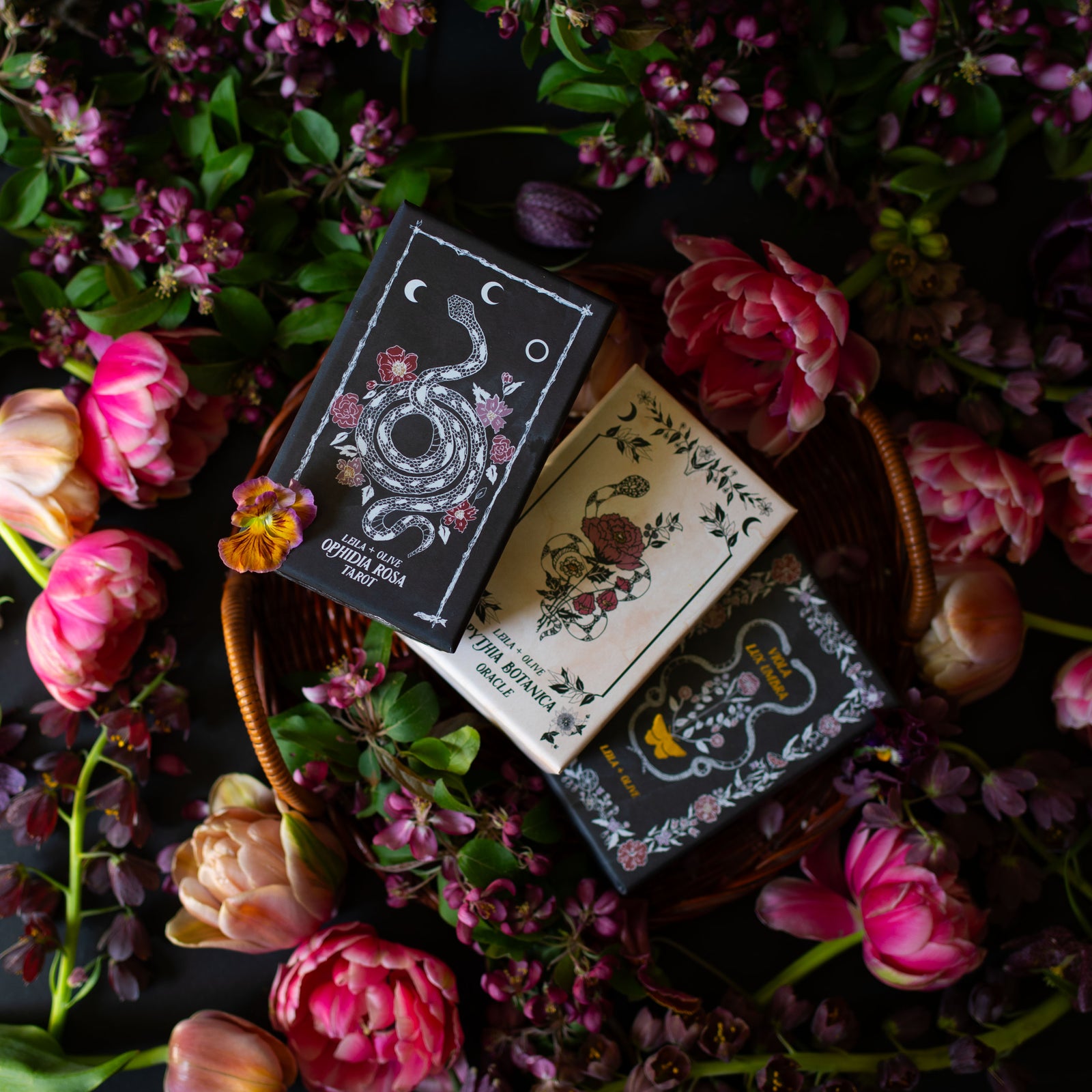 Botanical Tarot Deck, illustrated by hand, rooted in mythology and infused with plant magic.