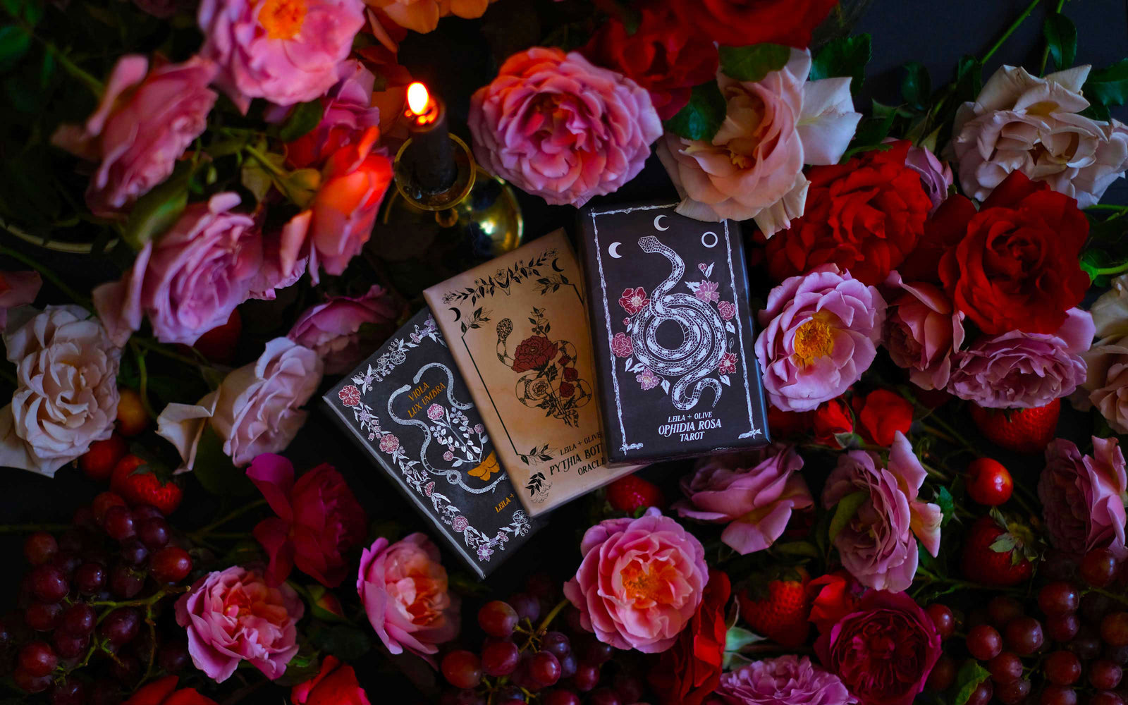 Botanical Tarot Deck, illustrated by hand, rooted in mythology and infused with plant magic.