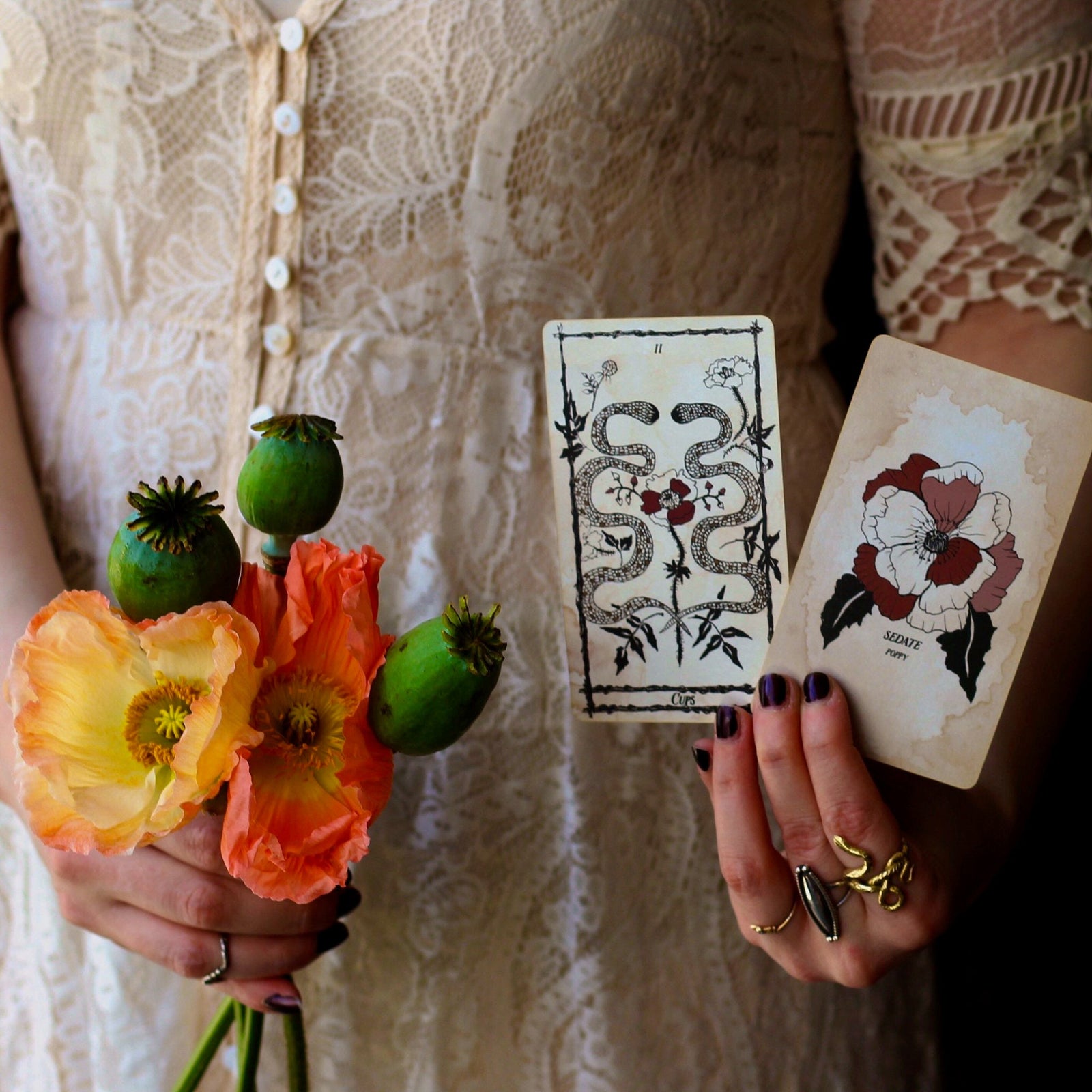 The Botanical Tarot deck, the Ophidia Rosa, is illustrated by hand and rooted in the natural realm. Through these 78 botanical tarot cards, the major and minor arcana, we weave together traditional Tarot meanings with poetry, mythology, flora and plants.