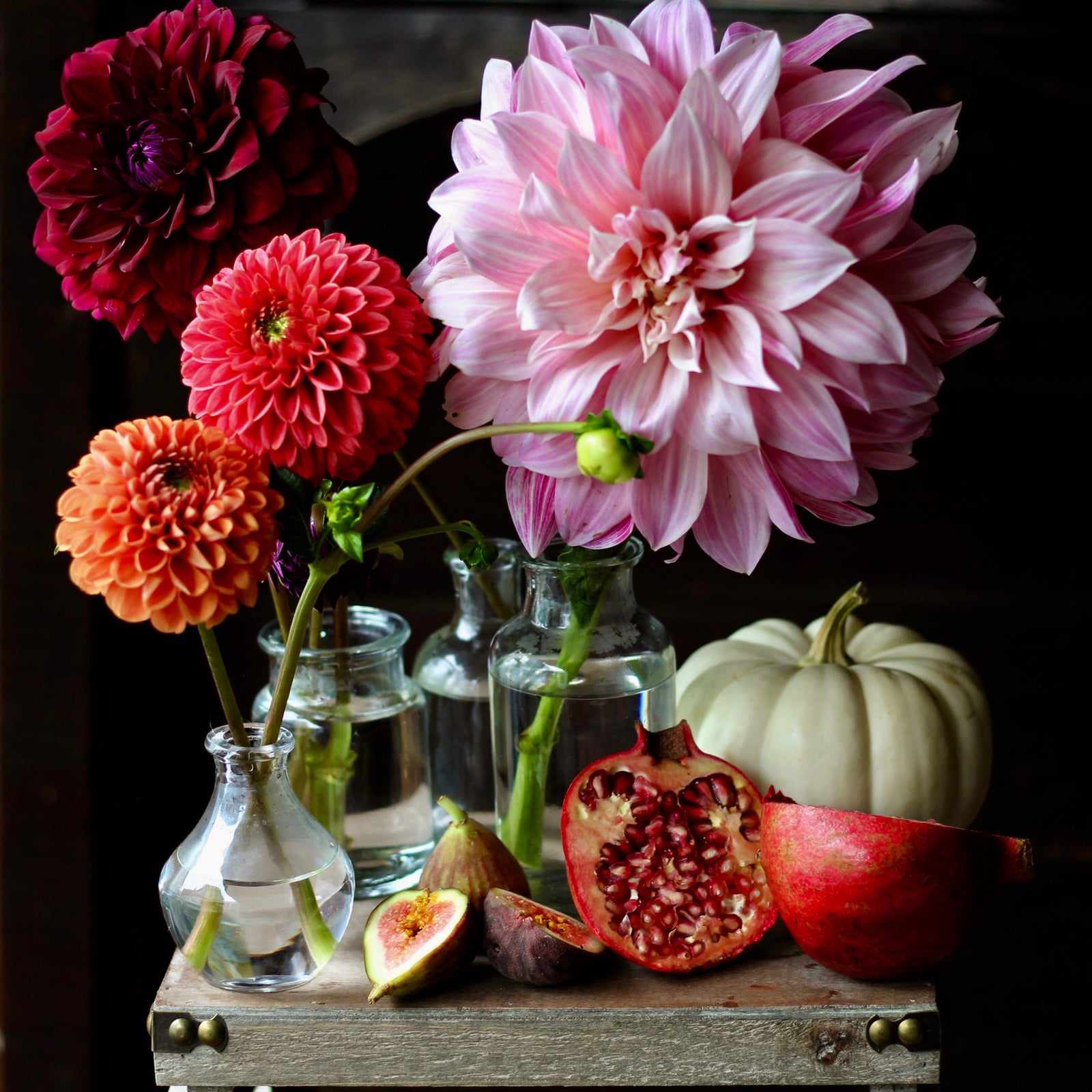 leila + olive dahlia garden