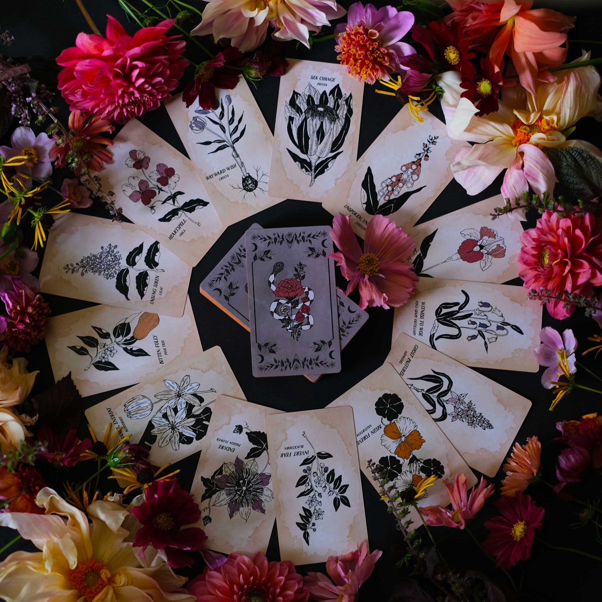 The Botanical Oracle Deck, Pythia Botanica illustrated by hand, rooted in mythology and infused with plant magic. 