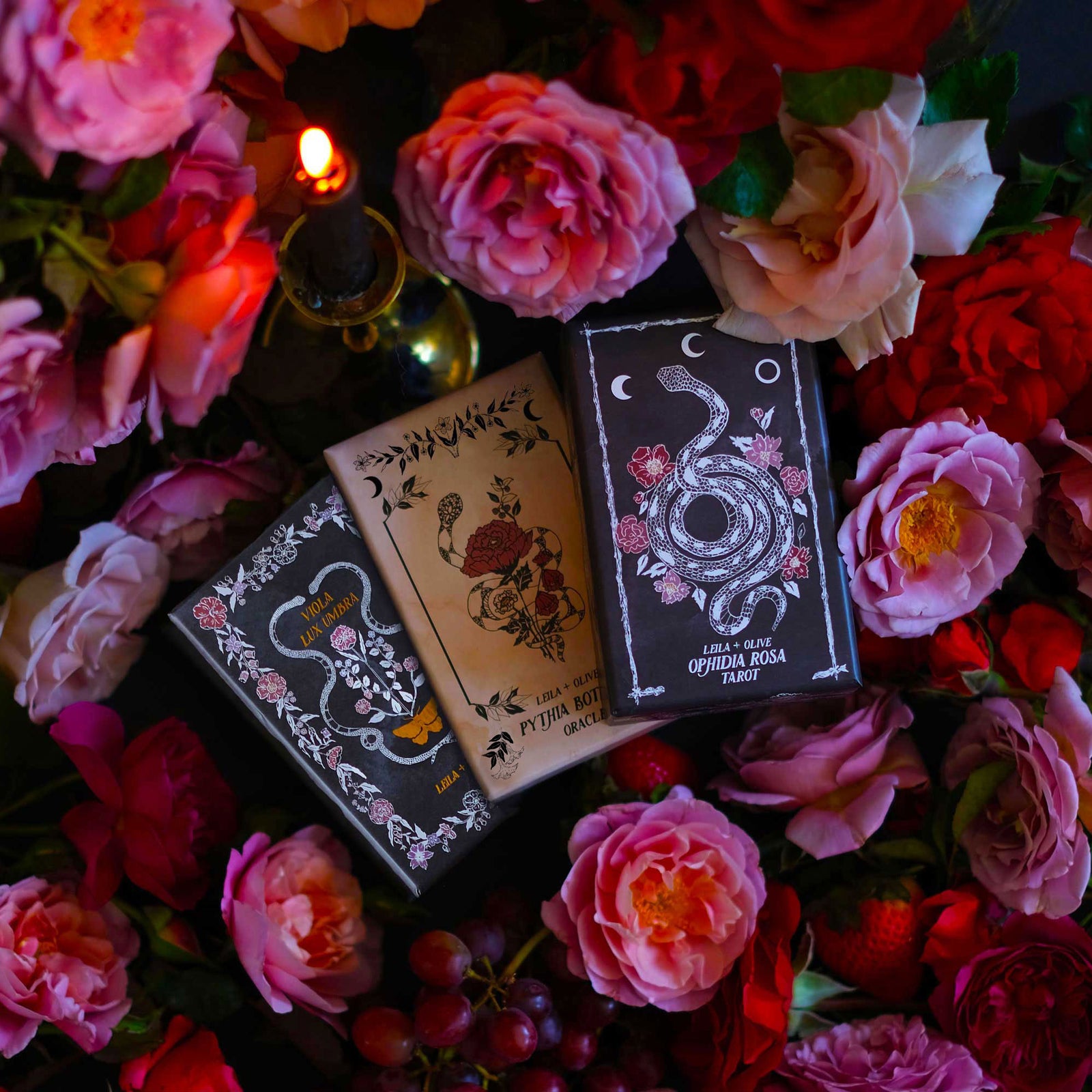 Botanical Tarot Deck, illustrated by hand, rooted in mythology and infused with plant magic.