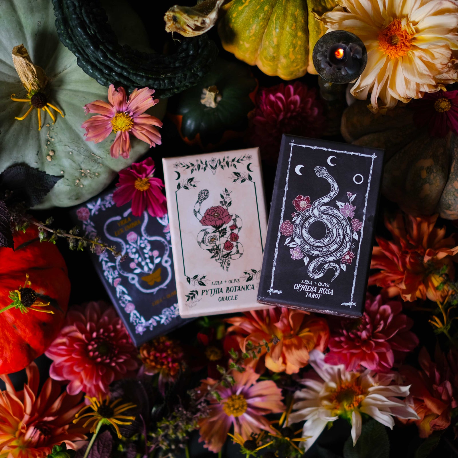 The Botanical Tarot Deck, illustrated by hand the original plant magic decks. 