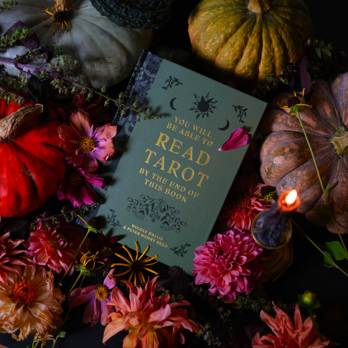 The Botanical Tarot Book
