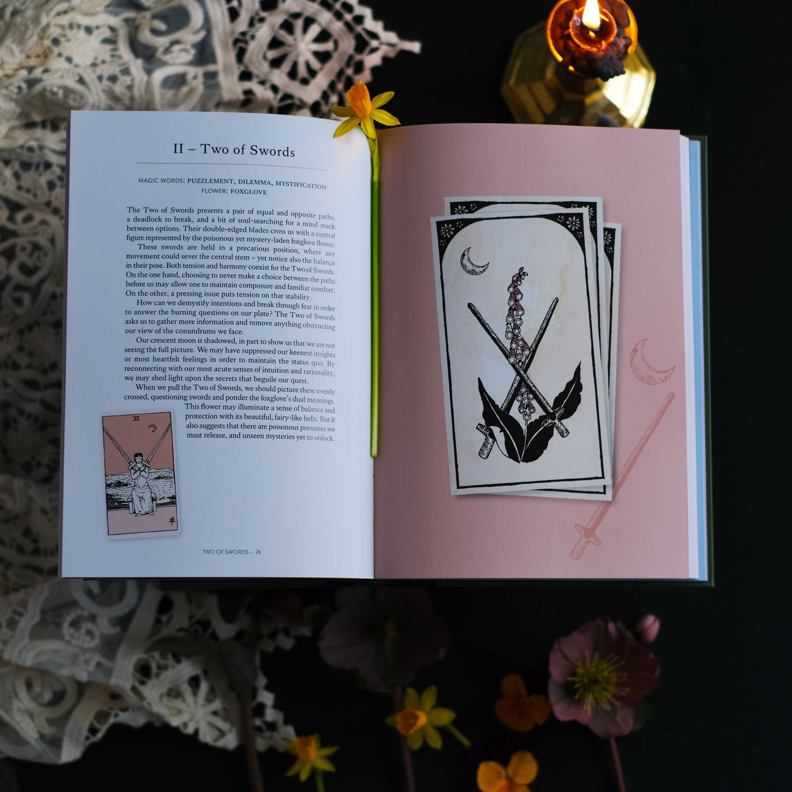 The Botanical Tarot Book 