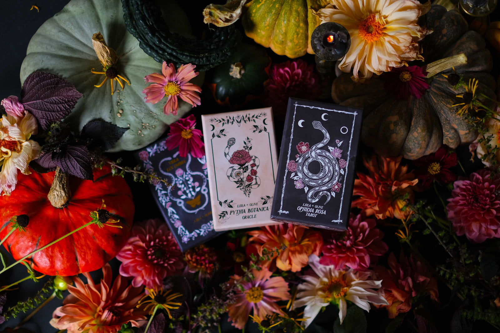 The botanical tarot decks, illustrated by hand, Ophidia Rosa Tarot, Pythia Botanica Oracle, Viola Lux Umbra Tarot. 