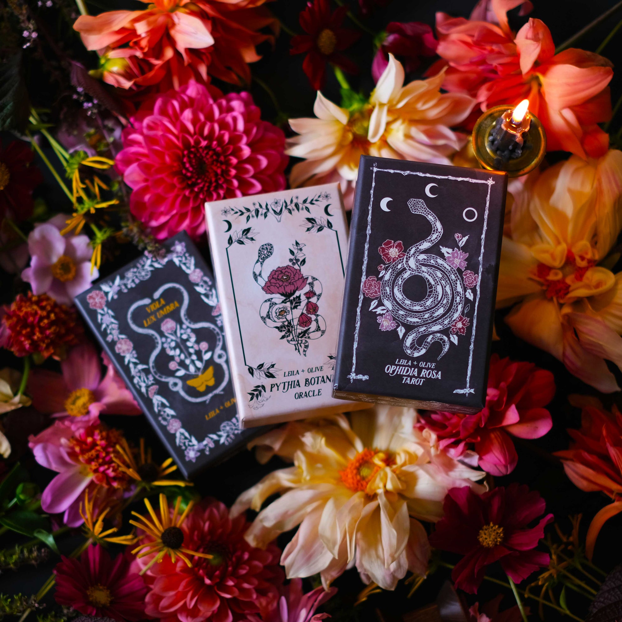 Botanical Tarot Deck, illustrated by hand, rooted in mythology and infused with plant magic.