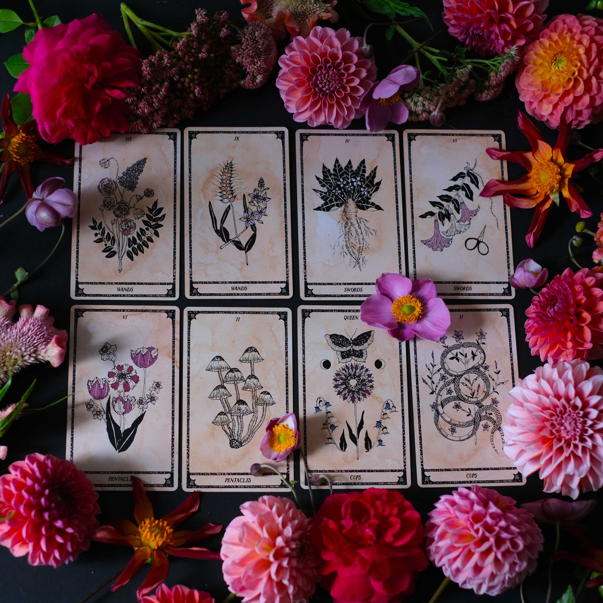 botanical tarot deck cards