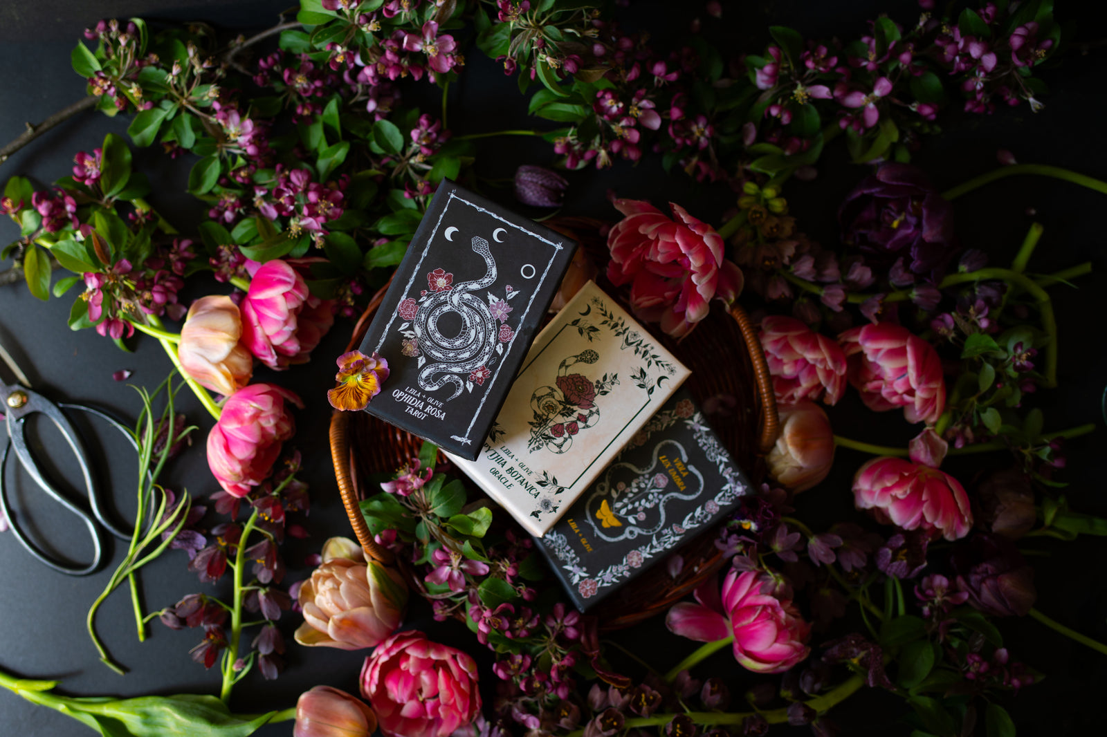 Botanical Tarot Deck, illustrated by hand, rooted in mythology and infused with plant magic.