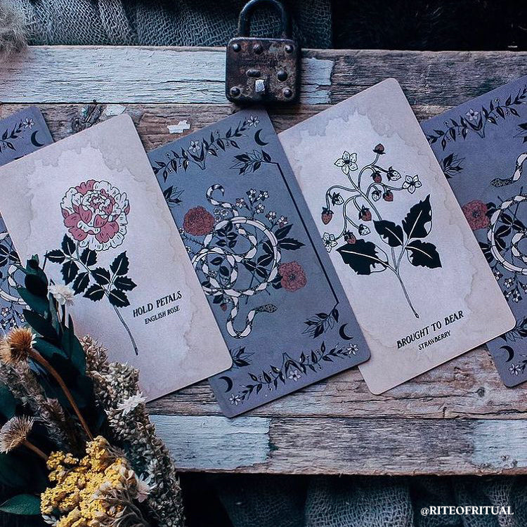 Botanical Tarot deck, the Ophidia Rosa, is illustrated by hand and rooted in the natural realm. Through these 78 botanical tarot cards, the major and minor arcana, we weave together traditional Tarot meanings with poetry, mythology, flora and plants.