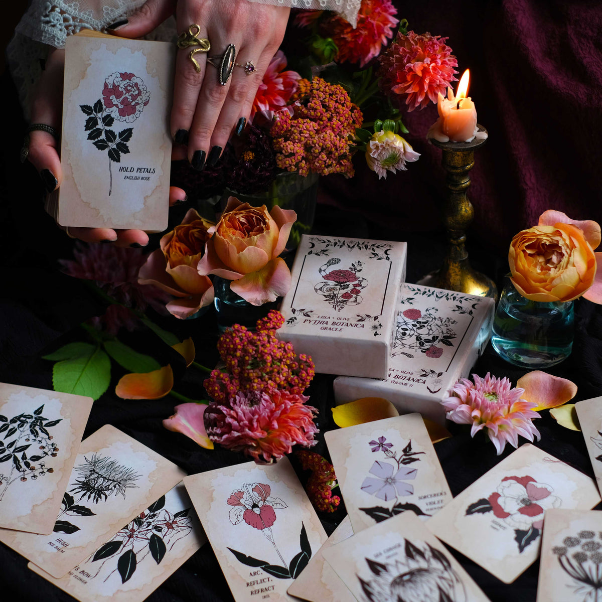 The Botanical Tarot Deck: Pythia Botanica