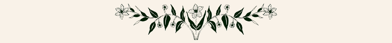 Botanical Tarot deck and Botanical Oracle deck cards illustrated by hand and rooted in botanicals, the natural world, flora, the plant kingdom, and the garden. Each of these decks are an ode to the garden journey, to transformation, to empowerment. 