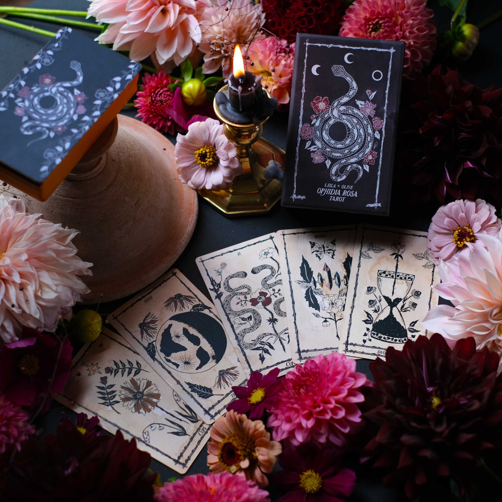 Botanical Tarot deck, the Ophidia Rosa, is illustrated by hand and rooted in the natural realm. Through these 78 botanical tarot cards, the major and minor arcana, we weave together traditional Tarot meanings with poetry, mythology, flora and plants.