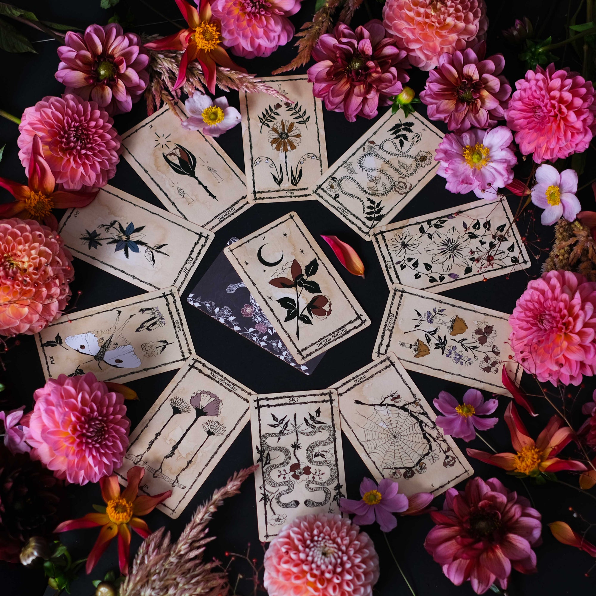 Botanical Tarot deck, the Ophidia Rosa, is illustrated by hand and rooted in the natural realm. Through these 78 botanical tarot cards, the major and minor arcana, we weave together traditional Tarot meanings with poetry, mythology, flora and plants.