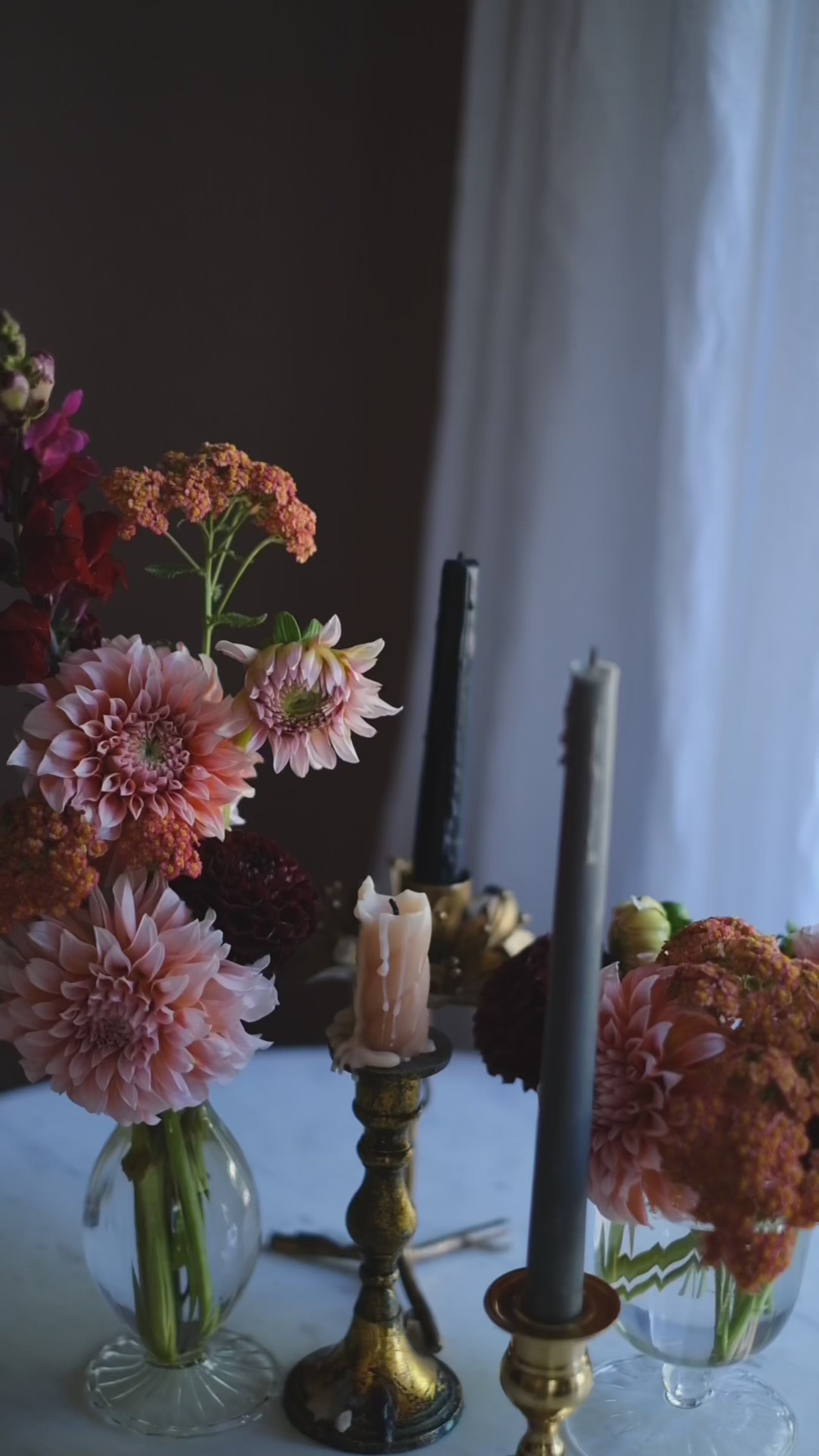 The Botanical Tarot Deck Ophidia Rosa