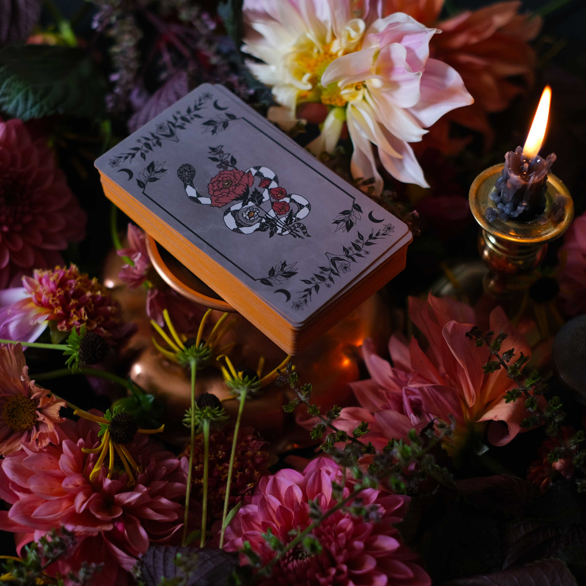 Pythia Botanica Oracle deck, illustrated by hand, a guide to plant magic, folklore, mythology. 