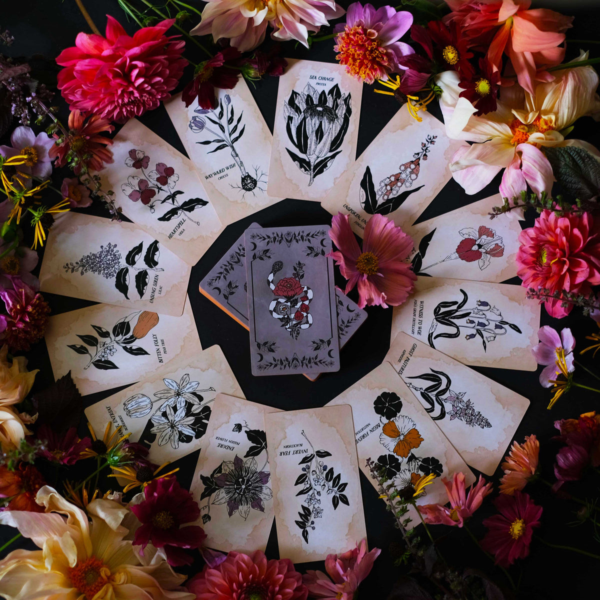 The Pythia Botanica Oracle 
