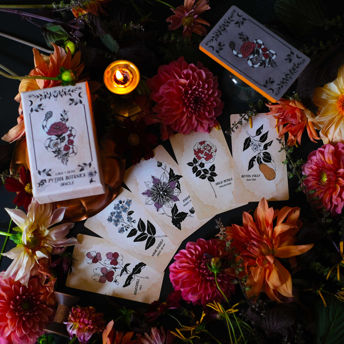 The Botanical Oracle  