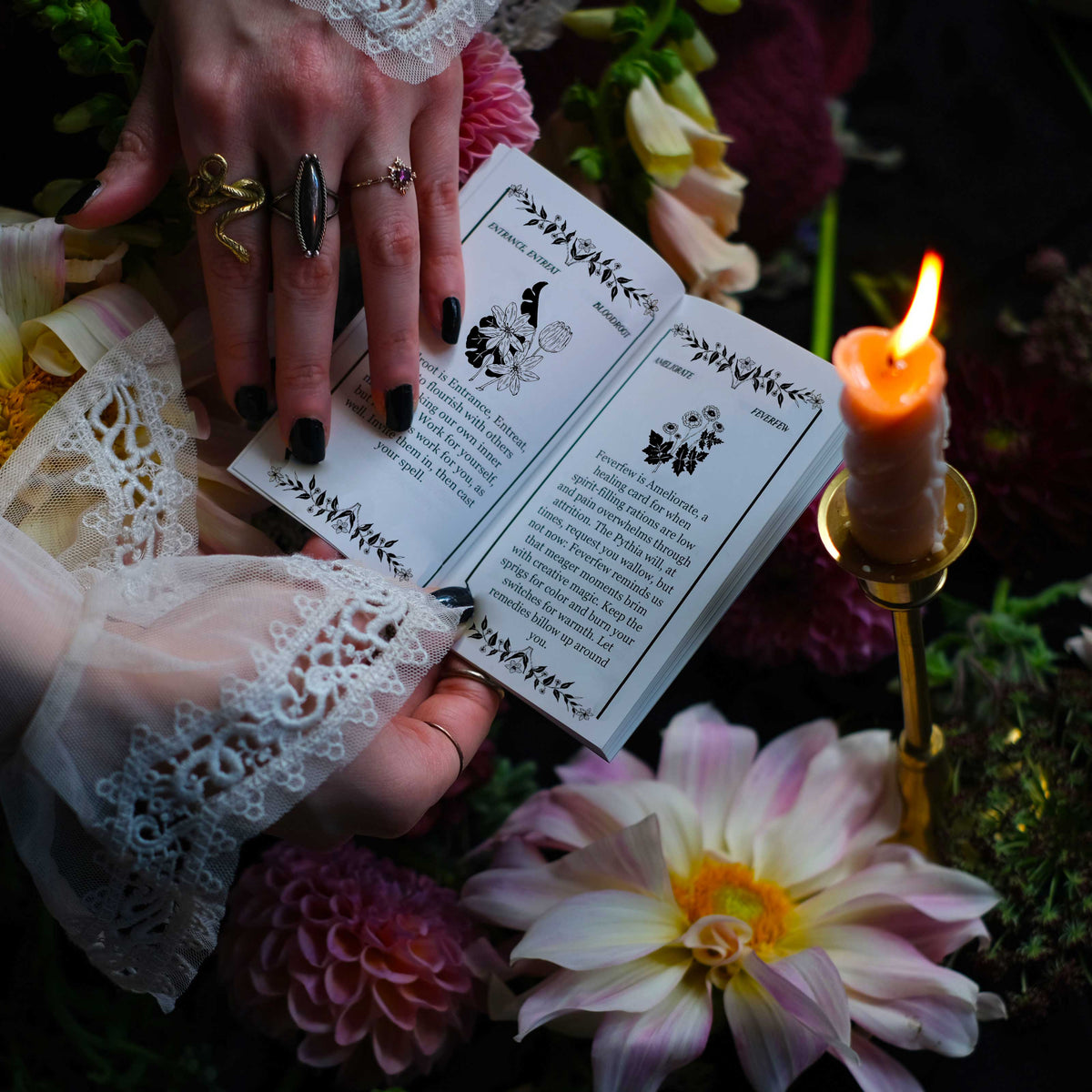 Pythia Botanica Oracle Deck 