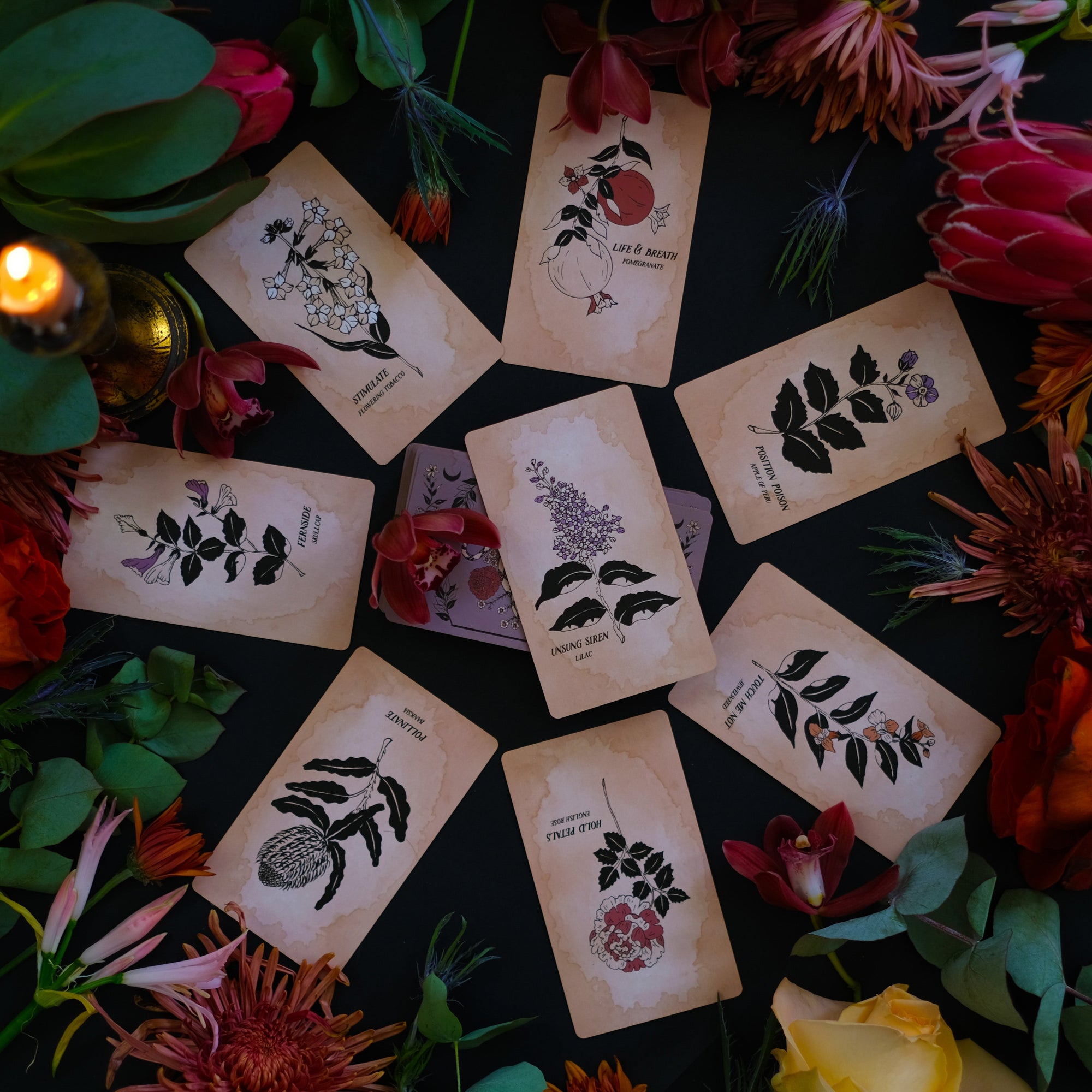 Pythia Botanica Oracle deck is illustrated by hand and rooted in plant magic, the natural world, and ancient mythology. Through 48 botanical oracle cards, we explore the plant world and all of the mystery, magic, wisdom and wonder it provides.