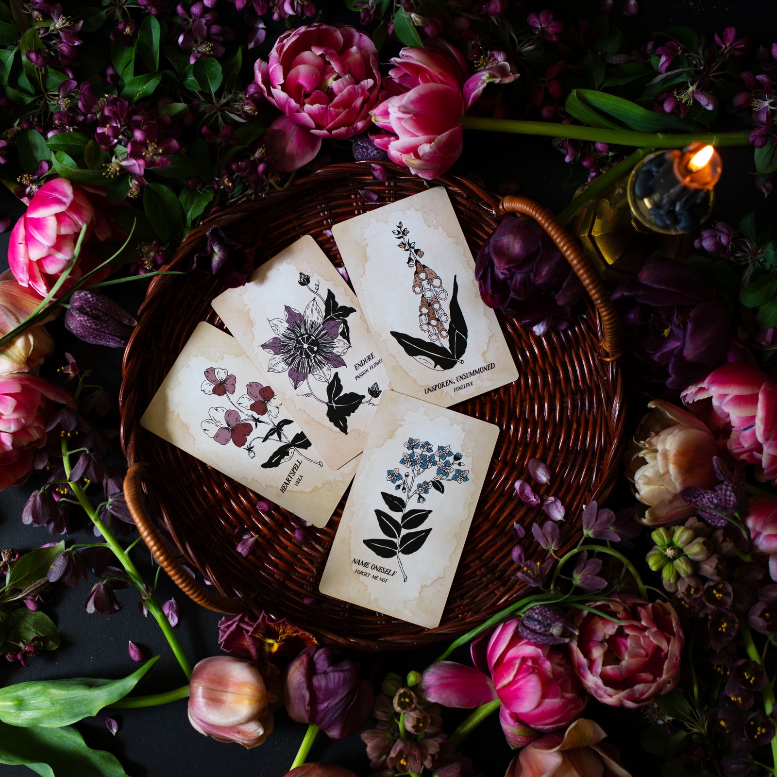 The Botanical Oracle card deck, Pythia Botanica, is rooted in mythology, illustrated by hand, and infused with plant magic. 