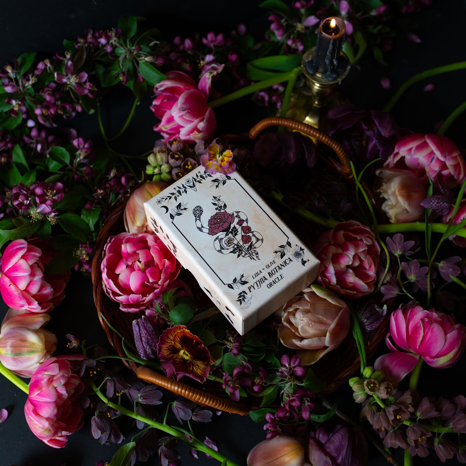 The Botanical Oracle card deck, Pythia Botanica, is rooted in mythology, illustrated by hand, and infused with plant magic. 