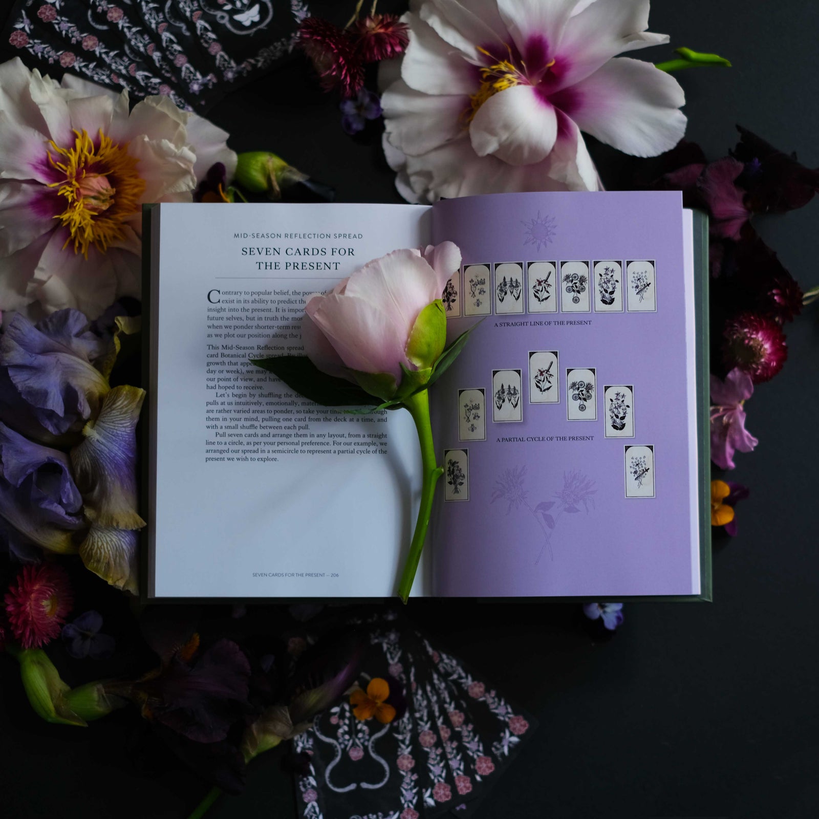 The Botanical Tarot Book - You Will Be Able To Read Tarot by the End of this Book