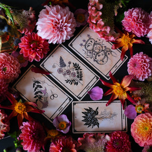 Botanical Tarot deck, Viola Lux Umbra, is illustrated by hand and rooted in the plant kingdom.