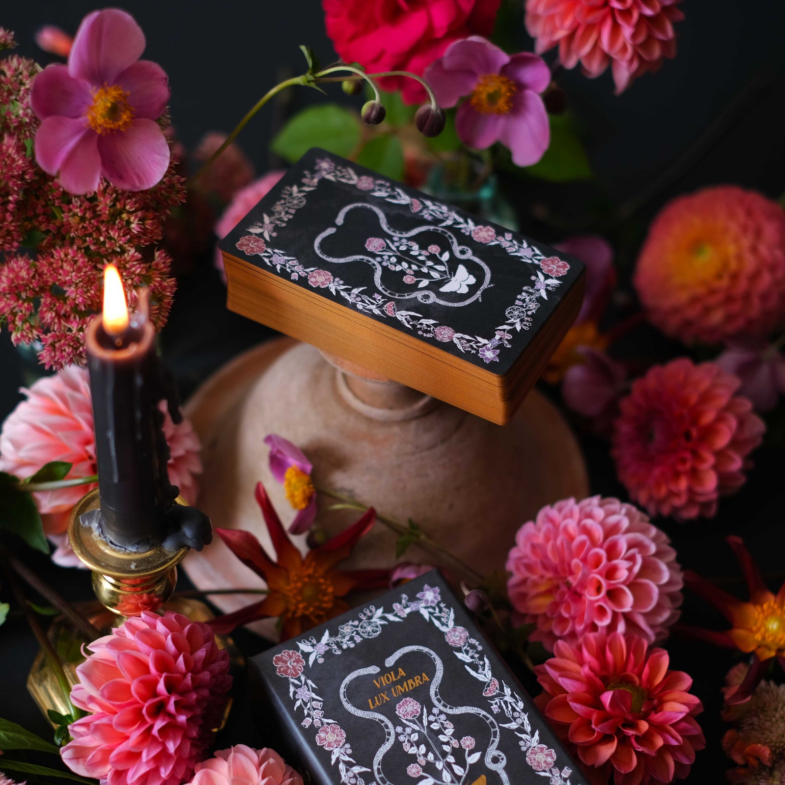 Botanical Tarot deck, Viola Lux Umbra, is illustrated by hand. Each of these botanical and plant inspired, intuitive tarot deck cards delves into the garden and the natural world while remaining rooted in mythology and tradition.