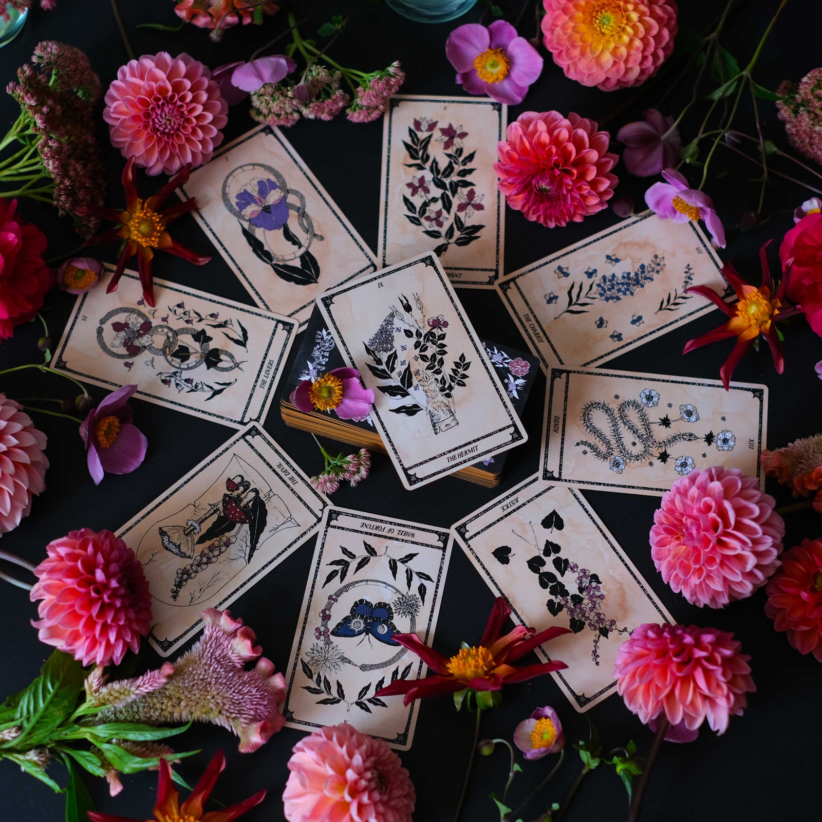 Viola Lux Umbra: The Botanical Tarot Deck & Gudiebook