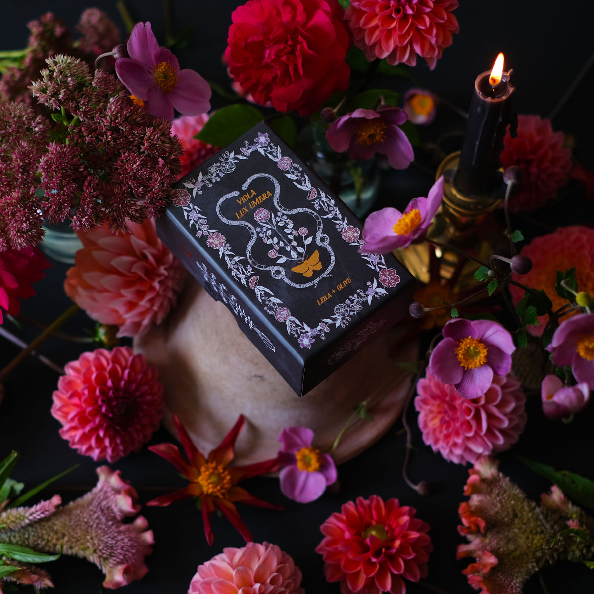 Botanical Tarot deck, Viola Lux Umbra, is illustrated by hand. Each of these botanical and plant inspired, intuitive tarot deck cards delves into the garden and the natural world while remaining rooted in mythology and tradition.