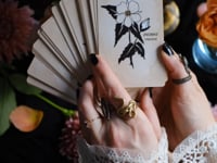 Rooted in mythology and infused with plant magic, the Pythia Botanica Oracle deck features hand-illustrated botanical tarot deck cards to strengthen our intuition and welcome the wisdom plants and flora provide. Read these Botanica cards in Tarot spreads, and allow these plant spirits to guide you.